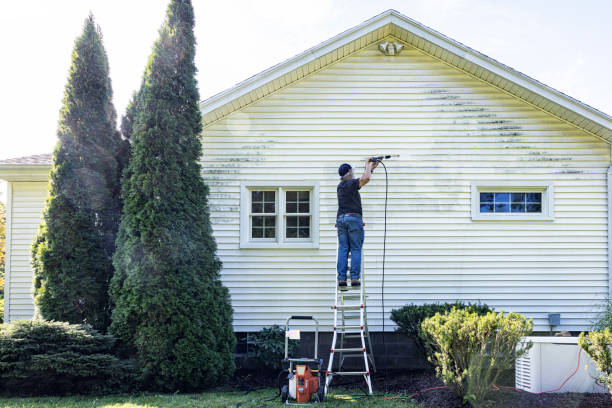 Best Affordable Pressure Washing  in Combee Settlement, FL