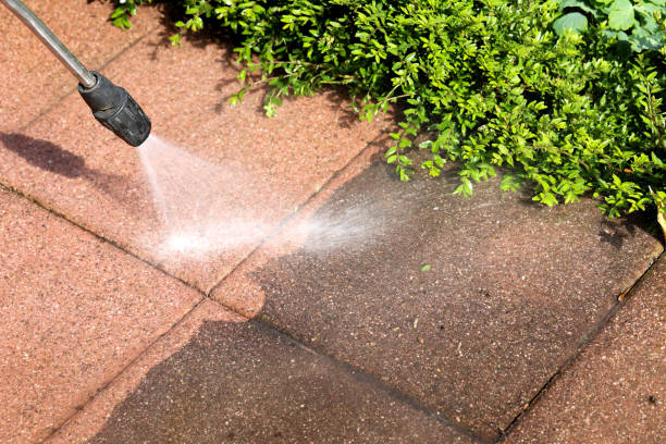 Best Roof Power Washing Services  in Combee Settlement, FL